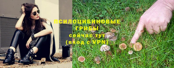 крисы Дмитров
