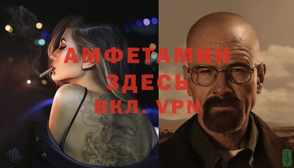 PSILOCYBIN Балахна