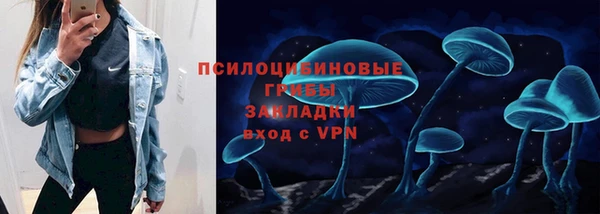 PSILOCYBIN Балахна