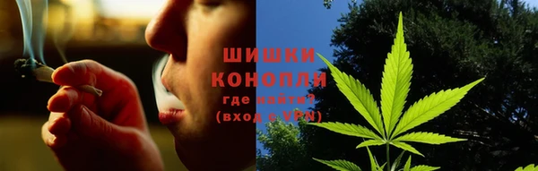 PSILOCYBIN Балахна