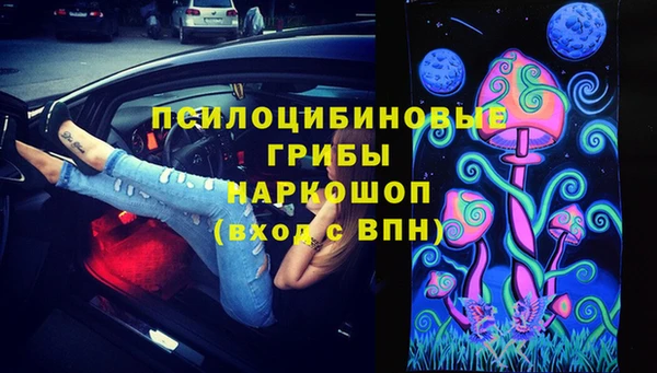 PSILOCYBIN Балахна